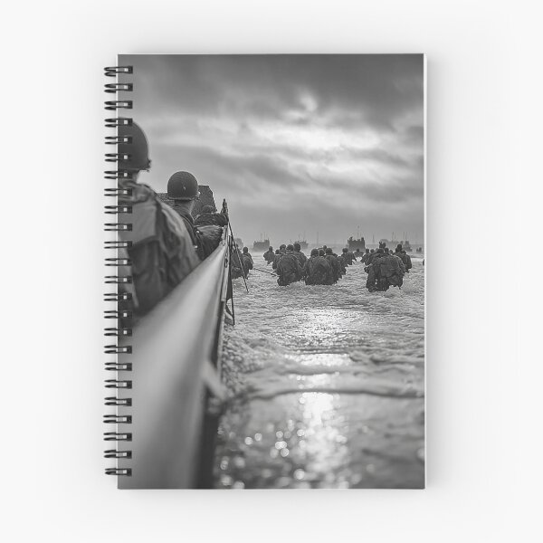 Item preview, DDay Landings Approaching the French Coast at Dawn designed and sold by Skyframe Aviation.