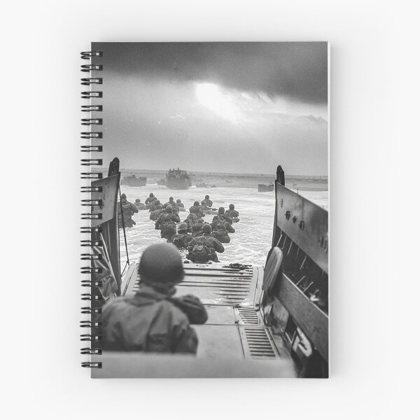 Item preview, Allied Forces Landing at Normandy in Combat Conditions designed and sold by Skyframe Aviation.