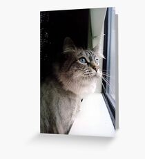 Kenny's View Greeting Card