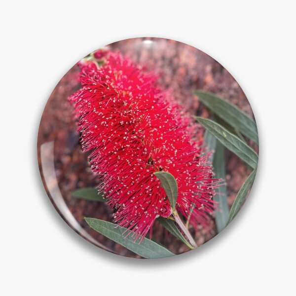 Item preview, Vibrant Red Bottlebrush Bloom designed and sold by Be Captured by Brittany Emma.