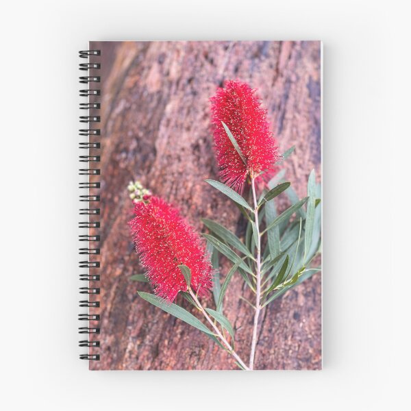 Item preview, Vibrant Red Bottlebrush Bloom designed and sold by Be Captured by Brittany Emma.