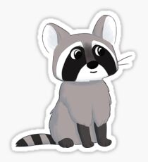 Racoon Sticker