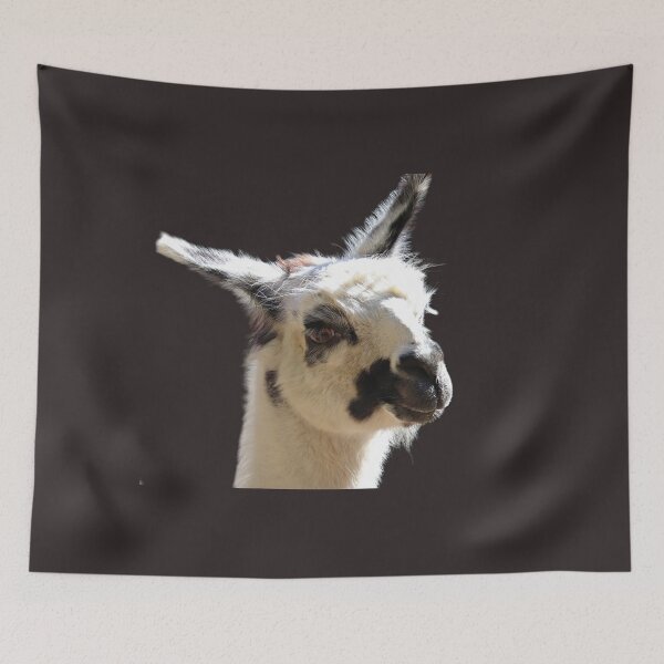 Item preview, Portrait of a happy face Llama/ lama glama/ North America designed and sold by VeenaNair23.