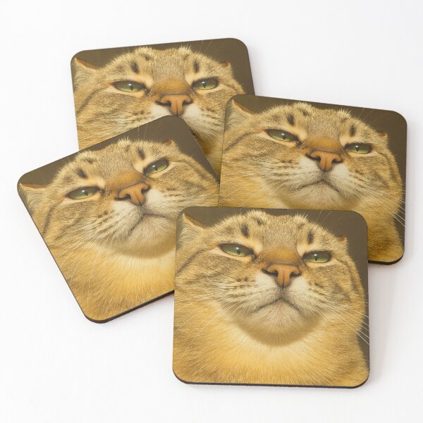 Item preview, Stoic Chubby Cat Close-Up designed and sold by Kaliyunai.