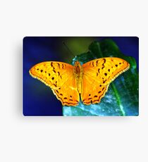 Cruiser Butterfly Canvas Print