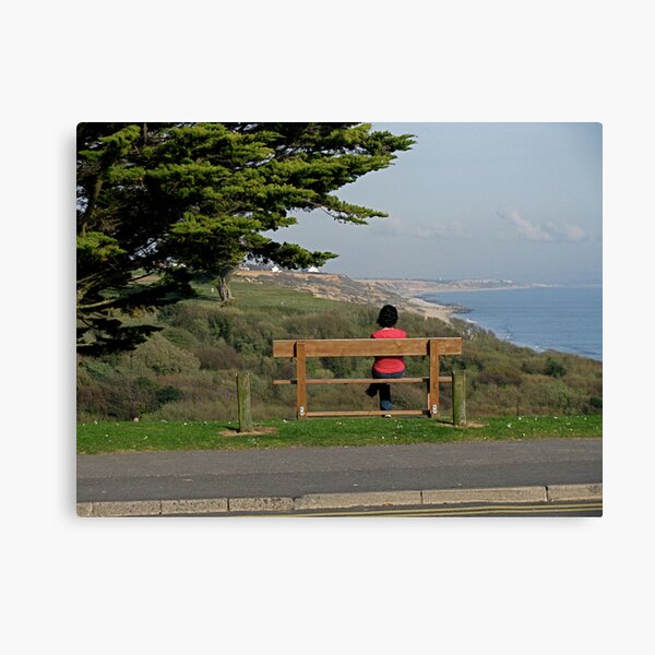 No More Alone Canvas Print