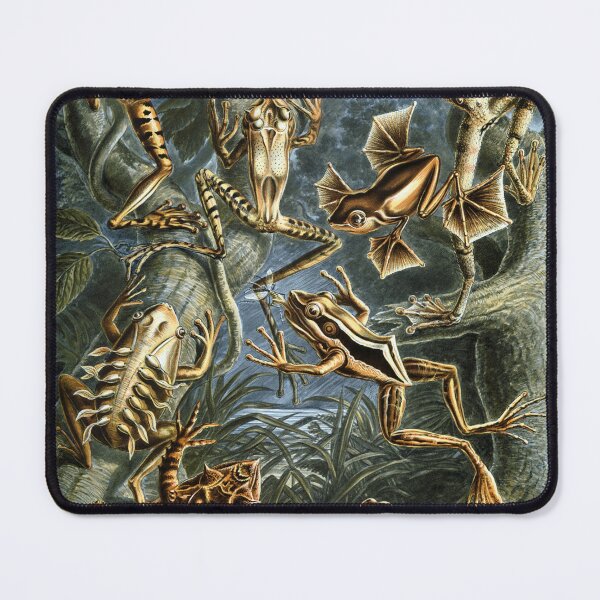 Item preview, Frog Evolution - Batrachian Reptiles - Vintage  Art designed and sold by EclecticArts.