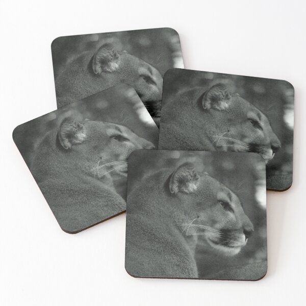 Item preview, Resting Mountain Lion Portrait designed and sold by MercerImages.