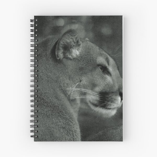 Item preview, Resting Mountain Lion Portrait designed and sold by MercerImages.