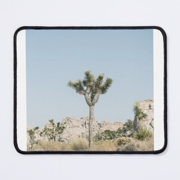 Item preview, Desert Plants Blue Sky Photographic Print designed and sold by Mother-Nature65.