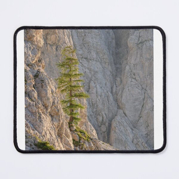 Item preview, Mountainside Trees View Photographic Print designed and sold by Mother-Nature65.
