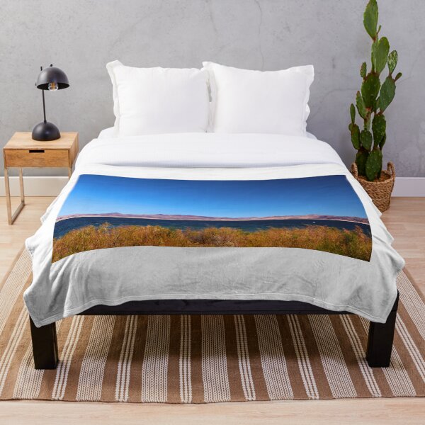 Item preview, Majestic Desert Lake and Mountains designed and sold by Phakade's Photos.