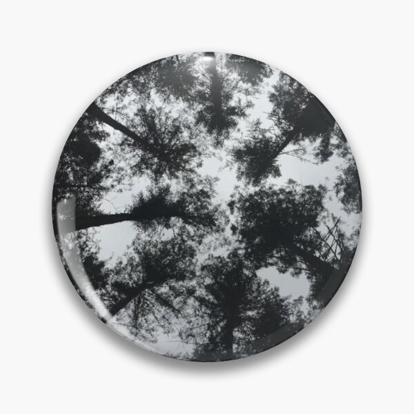 Item preview, Ground View Tree Tops Black and White Photographic Print designed and sold by Mother-Nature65.
