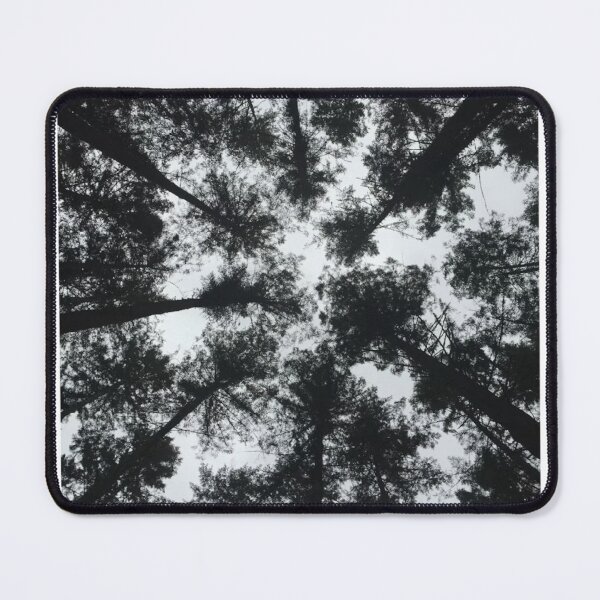 Item preview, Ground View Tree Tops Black and White Photographic Print designed and sold by Mother-Nature65.