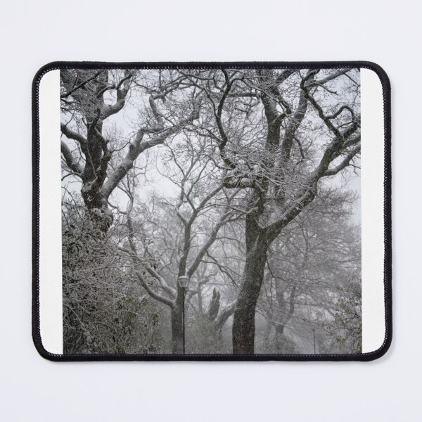 Item preview, Winter Trees In Snow Black and White Photographic Print designed and sold by Mother-Nature65.