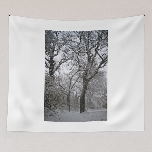Artikelvorschau, Winterbäume im Schnee Schwarz und Weiß Fotodruck entworfen und verkauft von Mother-Nature65.