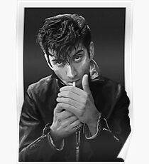 Alex Turner Poster
