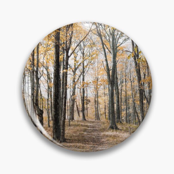 Item preview, Autumn Forest Trees Photographic Print designed and sold by Mother-Nature65.