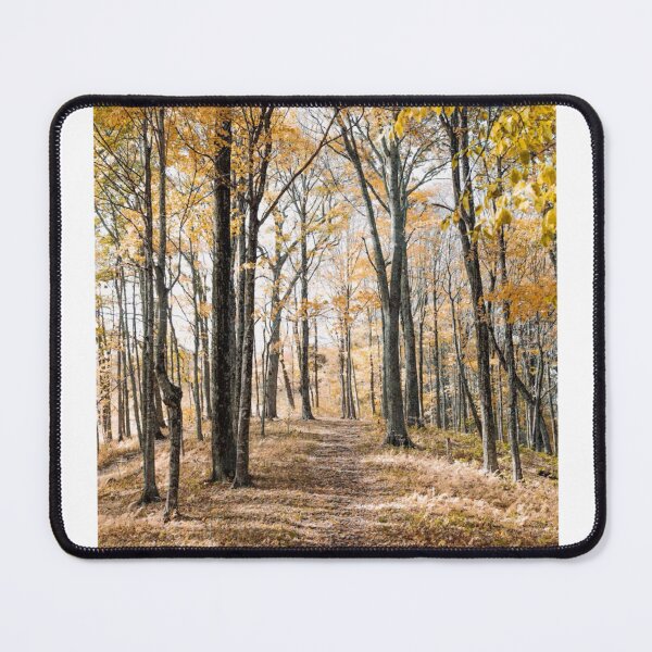 Item preview, Autumn Forest Trees Photographic Print designed and sold by Mother-Nature65.