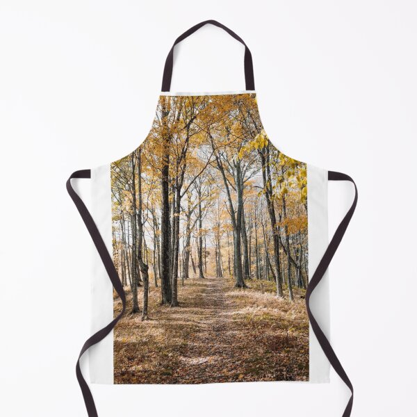 Item preview, Autumn Forest Trees Photographic Print designed and sold by Mother-Nature65.