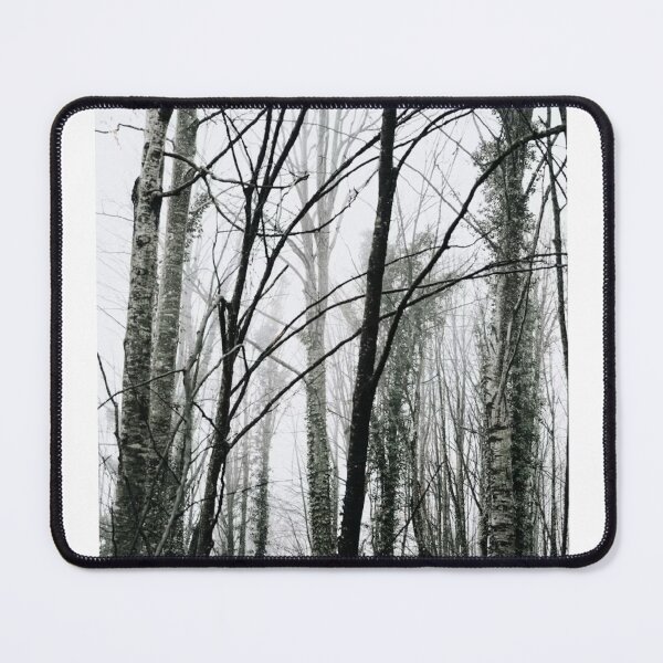 Item preview, Bare Winter Forest Trees Photographic Print designed and sold by Mother-Nature65.