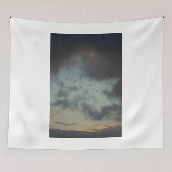 Item preview, Dark Clouds Birds Silhouettes Photographic Print designed and sold by Mother-Nature65.