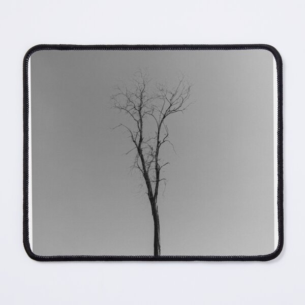Item preview, Single Tree Branches Black and White Photographic Print designed and sold by Mother-Nature65.