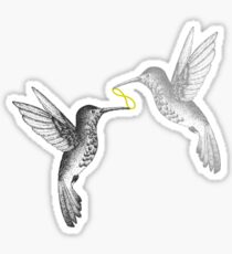 A Couple of Hummingbirds Sticker