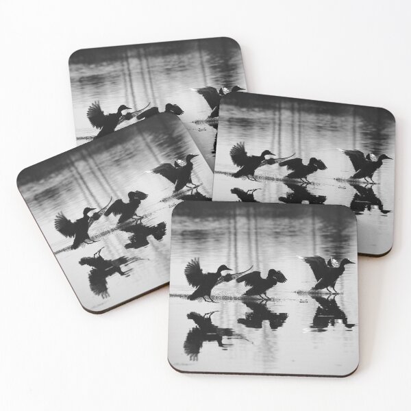Item preview, Three ducks – water skis on final approach / Swiss Artwork Photography designed and sold by Raphael Wolf.
