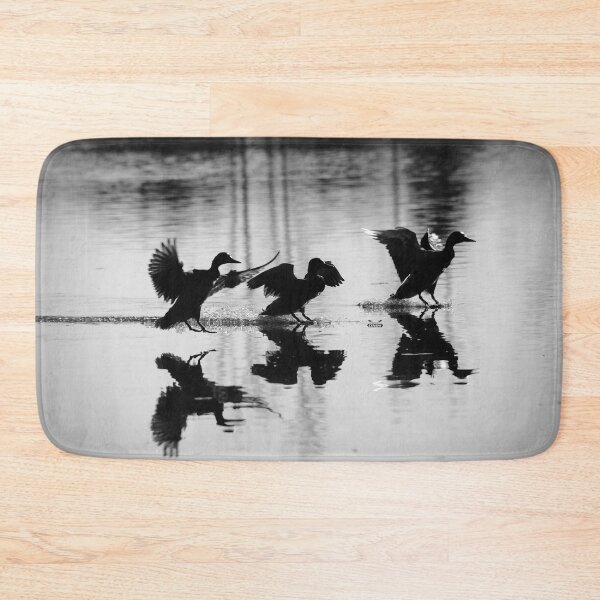 Item preview, Three ducks – water skis on final approach / Swiss Artwork Photography designed and sold by Raphael Wolf.