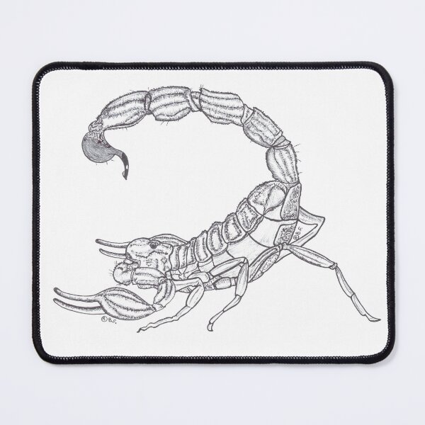 Item preview, SCORPION designed and sold by BeritValk.