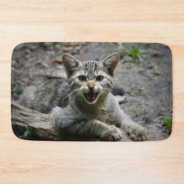 Artikelvorschau, Europäische Wildkatze – Fauchen im Wald / Swiss Artwork Photography entworfen und verkauft von Raphael Wolf.