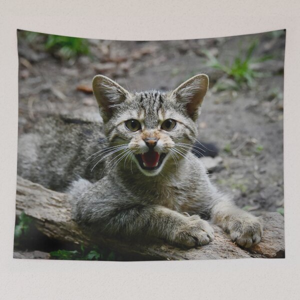 Item preview, European Wildcat – Hissing in the Forest / Swiss Artwork Photography designed and sold by Raphael Wolf.