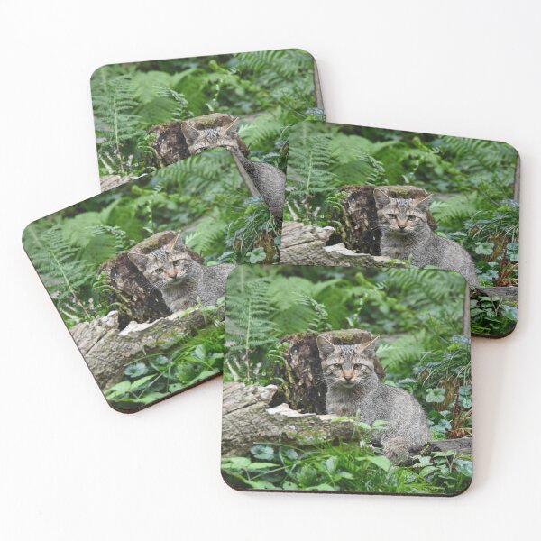 Item preview, European wildcat in the forest – a look into the eyes / Swiss Artwork Photography designed and sold by Raphael Wolf.