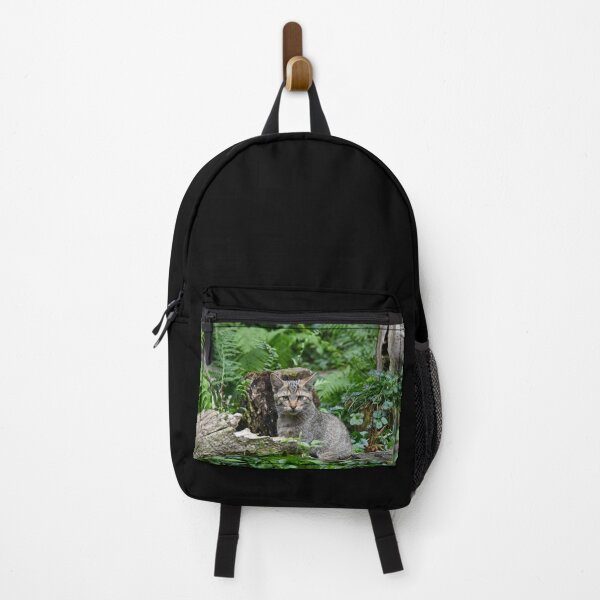Artikelvorschau, Europäische Wildkatze im Wald – Blick in die Augen / Swiss Artwork Photography entworfen und verkauft von Raphael Wolf.