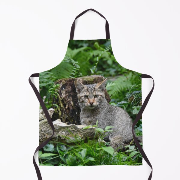 Artikelvorschau, Europäische Wildkatze im Wald – Blick in die Augen / Swiss Artwork Photography entworfen und verkauft von Raphael Wolf.