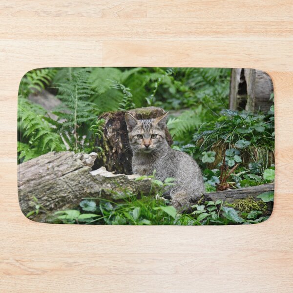 Artikelvorschau, Europäische Wildkatze im Wald – Blick in die Augen / Swiss Artwork Photography entworfen und verkauft von Raphael Wolf.