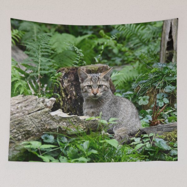 Item preview, European wildcat in the forest – a look into the eyes / Swiss Artwork Photography designed and sold by Raphael Wolf.