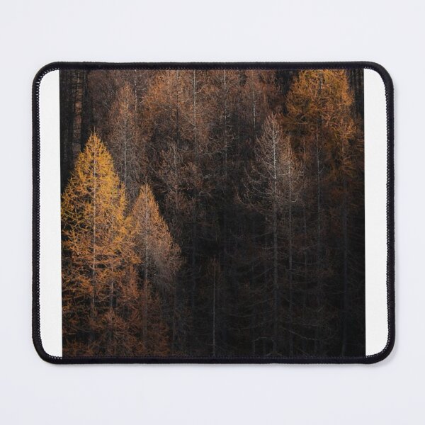 Item preview, Aerial Autumn Trees Photographic Print designed and sold by Mother-Nature65.