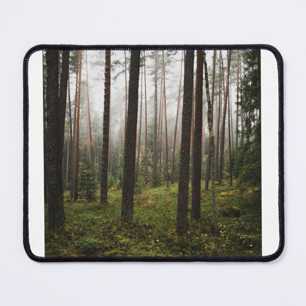 Item preview, Forest Tree Trunks Photographic Print designed and sold by Mother-Nature65.