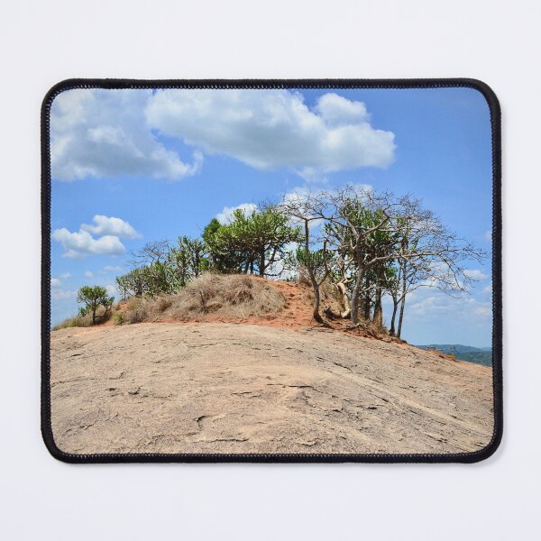 Item preview, Oasis in the hilly desert – life defies adversity / Swiss Artwork Photography designed and sold by Raphael Wolf.