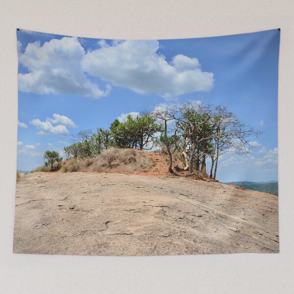 Item preview, Oasis in the hilly desert – life defies adversity / Swiss Artwork Photography designed and sold by Raphael Wolf.