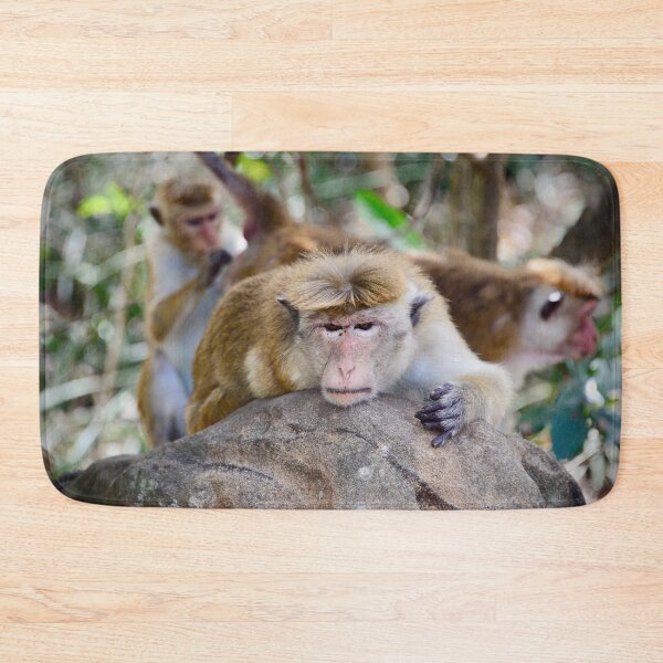 Item preview, Resigned monkey on a tree trunk – Tired looks and weariness of life / Swiss Artwork Photography designed and sold by Raphael Wolf.