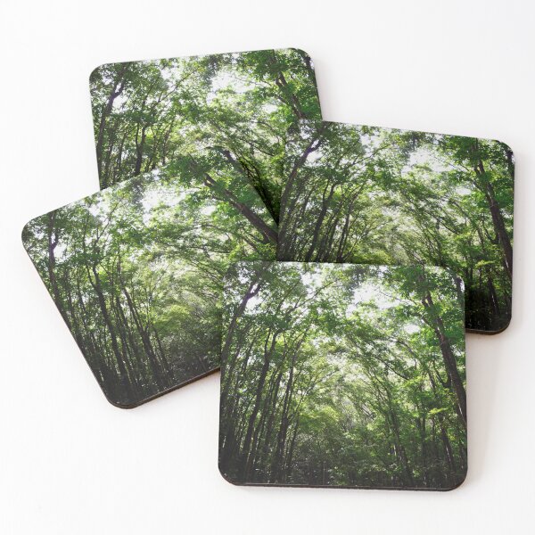 Item preview, Tree canopies in the Philippine rainforest – sunlight in the arc of nature / Swiss Artwork Photography designed and sold by Raphael Wolf.