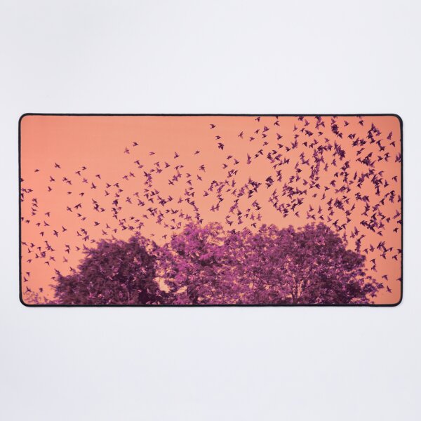 Item preview, The Birds / Swiss Artwork Photography designed and sold by Raphael Wolf.