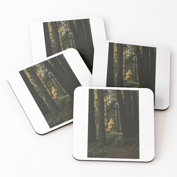 Artikelvorschau, Dunkle Lichtwaldbäume Fotodruck entworfen und verkauft von Mother-Nature65.