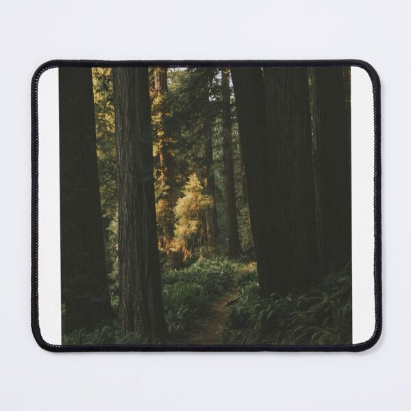 Item preview, Dark Light Forest Trees Photographic Print designed and sold by Mother-Nature65.