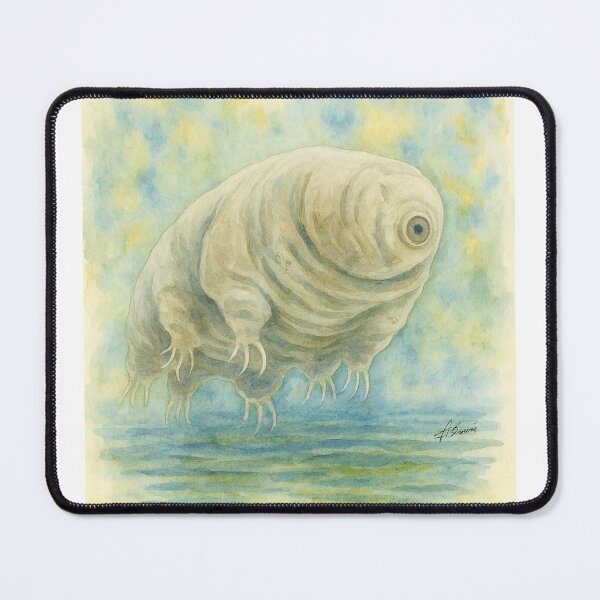 Item preview, water bear dont beware designed and sold by Cushion-Crafts.