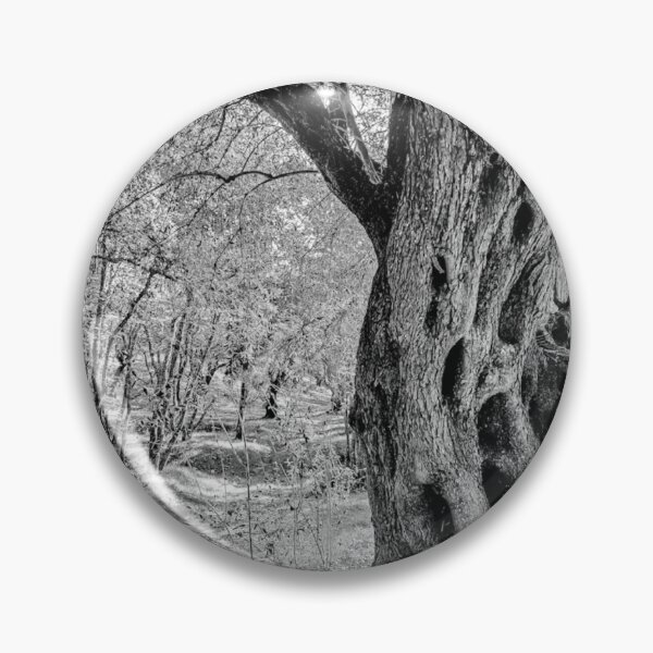 Item preview, Ancient Tree Trunk Black and White Photographic Print designed and sold by Mother-Nature65.
