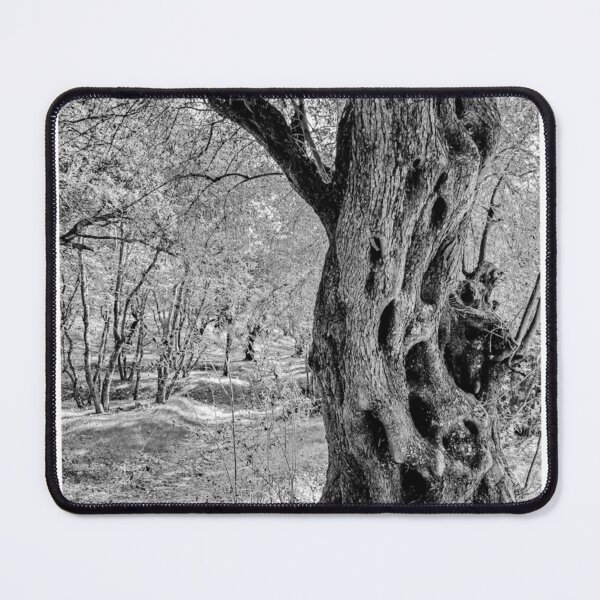 Item preview, Ancient Tree Trunk Black and White Photographic Print designed and sold by Mother-Nature65.